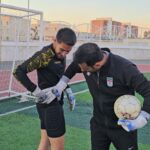 شرت ضربه گیر