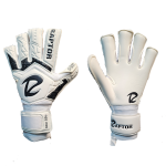 دستکش بیرانوند