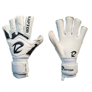 دستکش بیرانوند