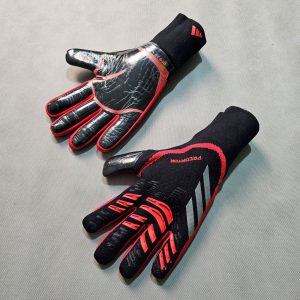 دستکش دروازه‌بانی