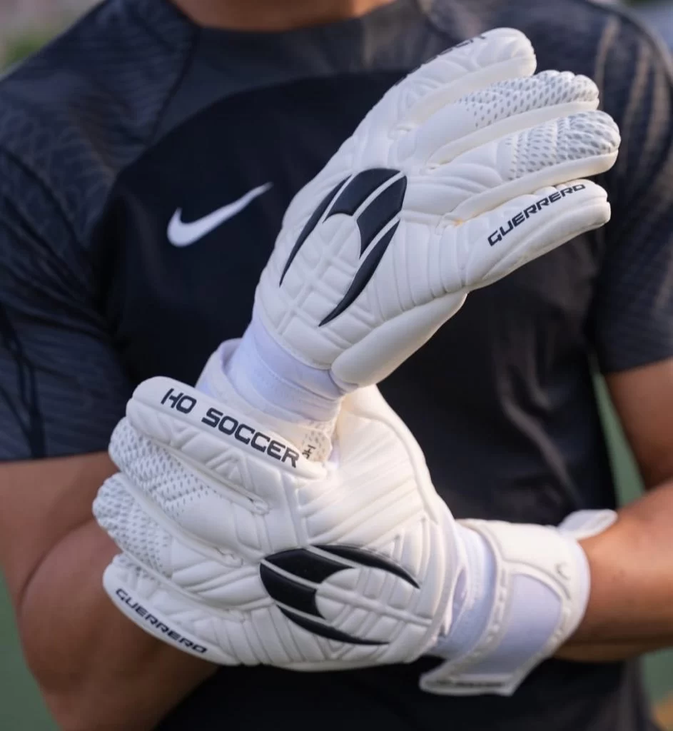 دستکش امیر عابدزاده