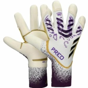 پردیتور بنفش 2025