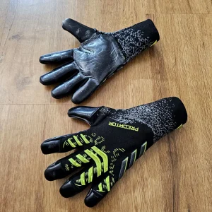 پردیتور مشکی