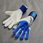 آدیداس پردیتور