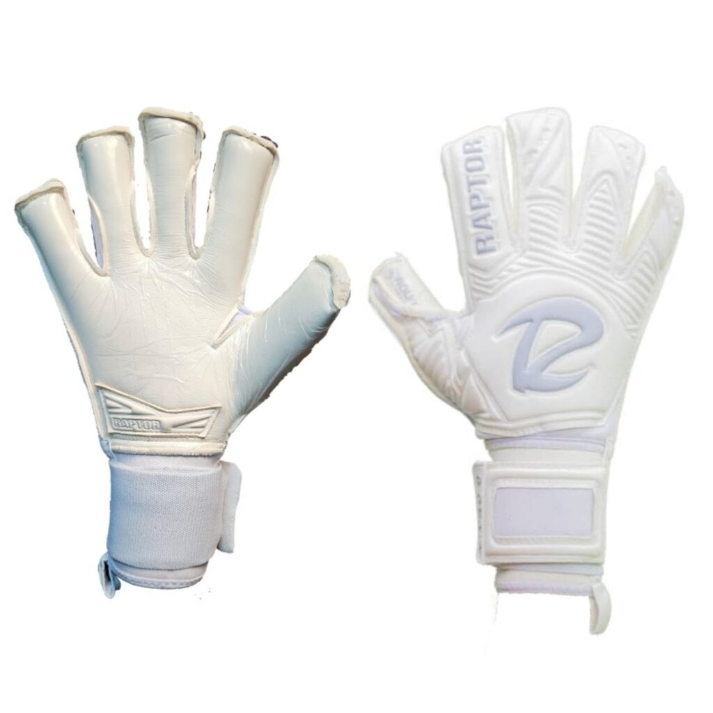 دستکش دروازه بانی علیرضا بیرانوند