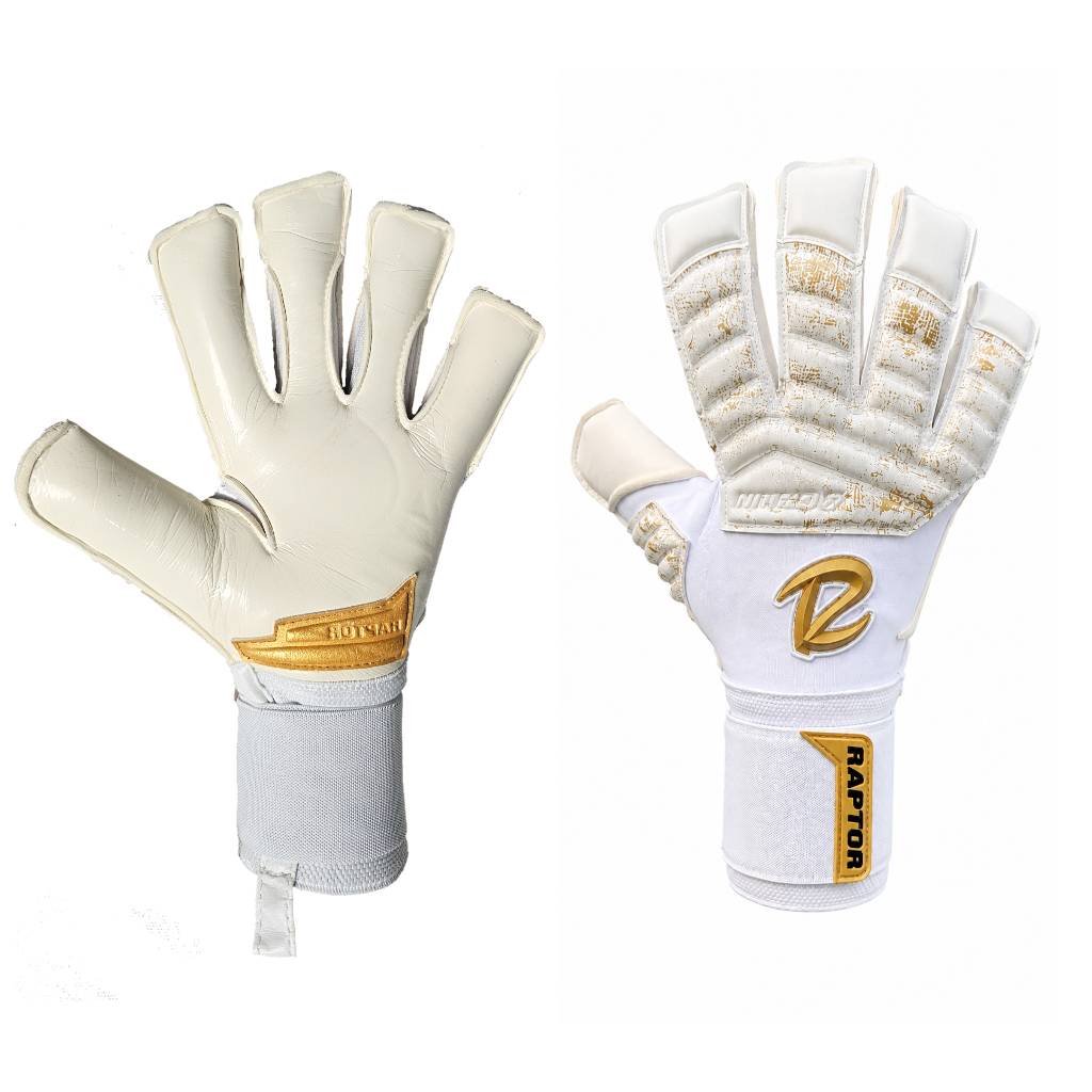 دستکش دروازه بانی بیرانوند در جام جهانی